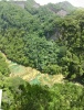 Semuc Champey desde el mirador
