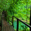 360> Caminos dentro de Semuc Champey