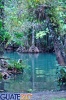 Rica vegetación en el Río Dulce