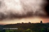 Tikal con sus Pirámides Mayas y selva al amanecer