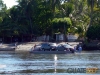 Canal de chiquimulilla