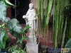 Estatua del Hermano Pedro
