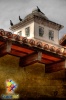 Sanates cantan sobre una vivienda de La Antigua Guatemala