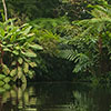 360> Piscina natural en finca de la Aldea Guadalupe en Escuintla