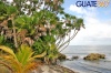 Ambiente tropical