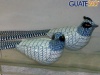 Pajaros de ceramica de Guatemala