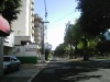 AVENIDA DE LA REFORMA - 2008